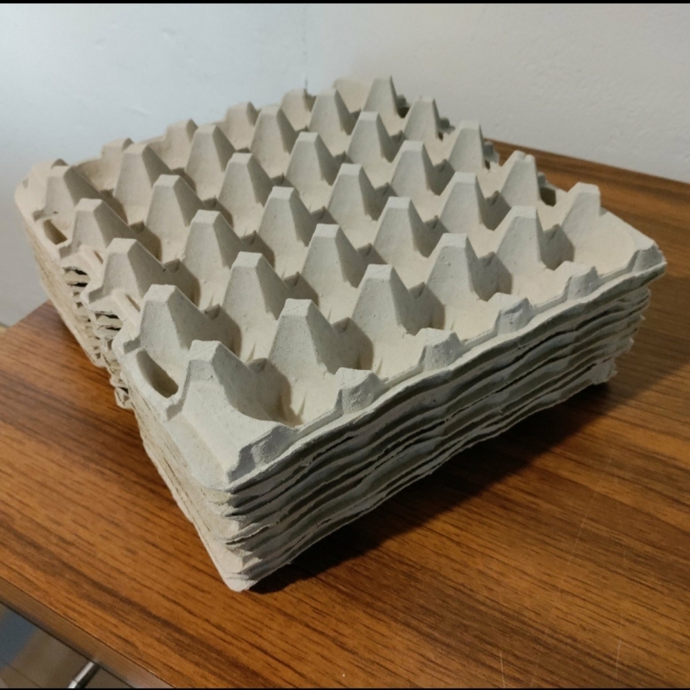 Egg Trays - Pack of 10